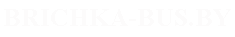 Наш логотип brichka-bus.by перевозки
